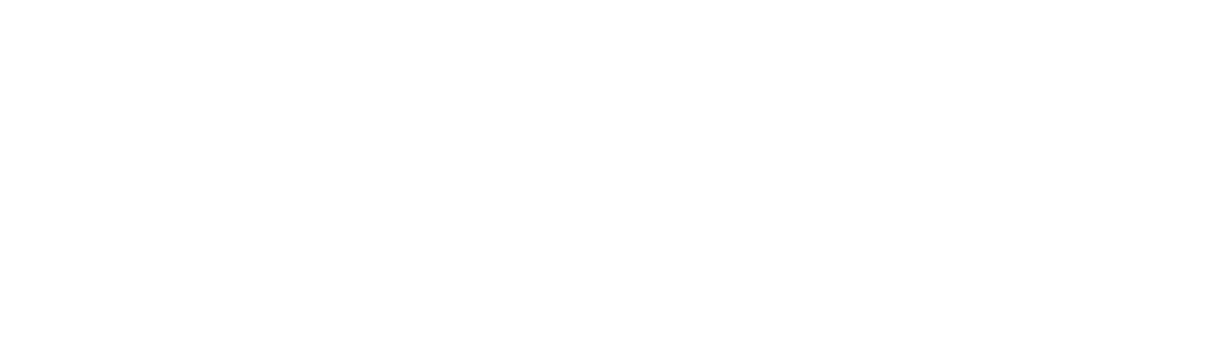 Mavitex-Cons Logo